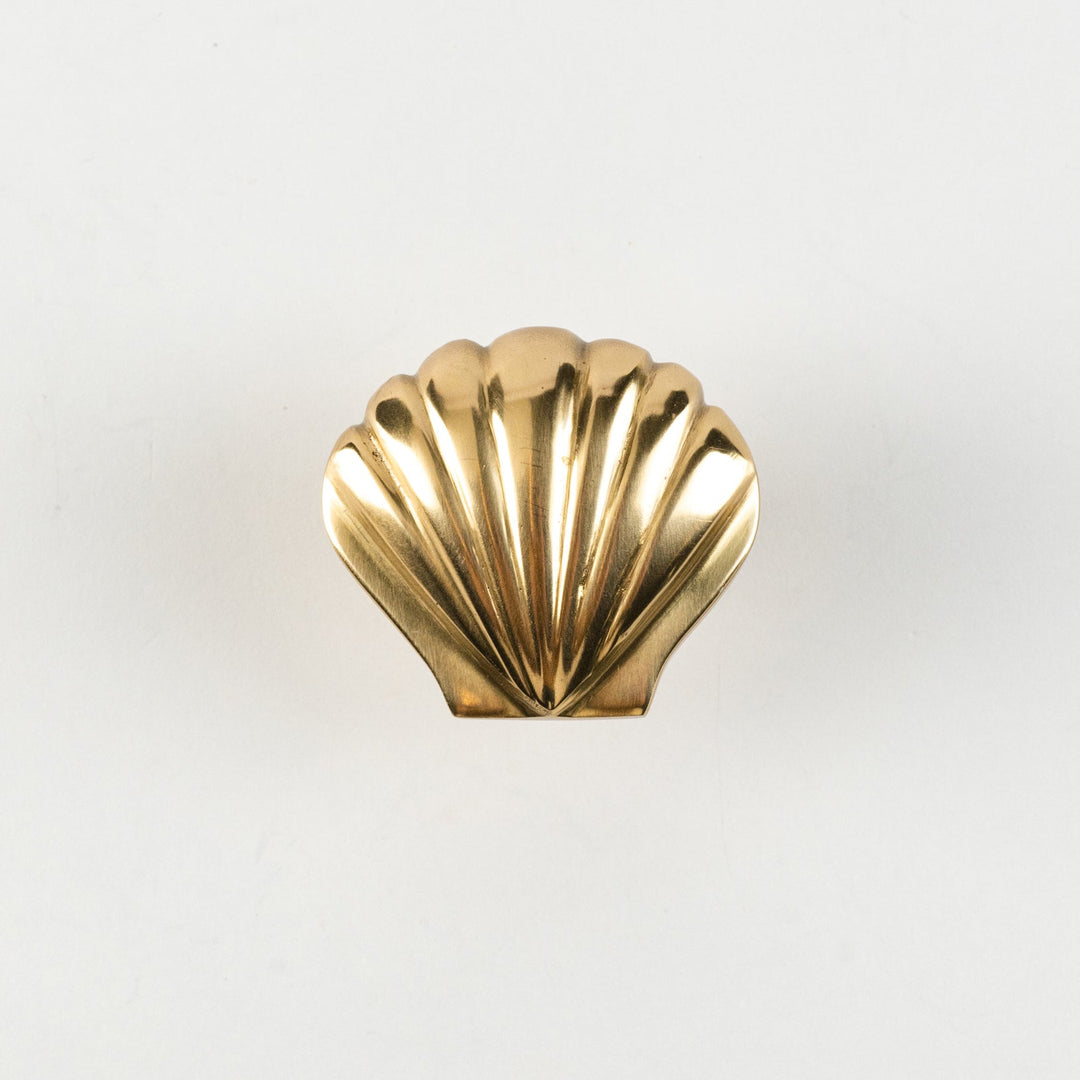 Shell Drawer Knob