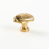 Shell Drawer Knob