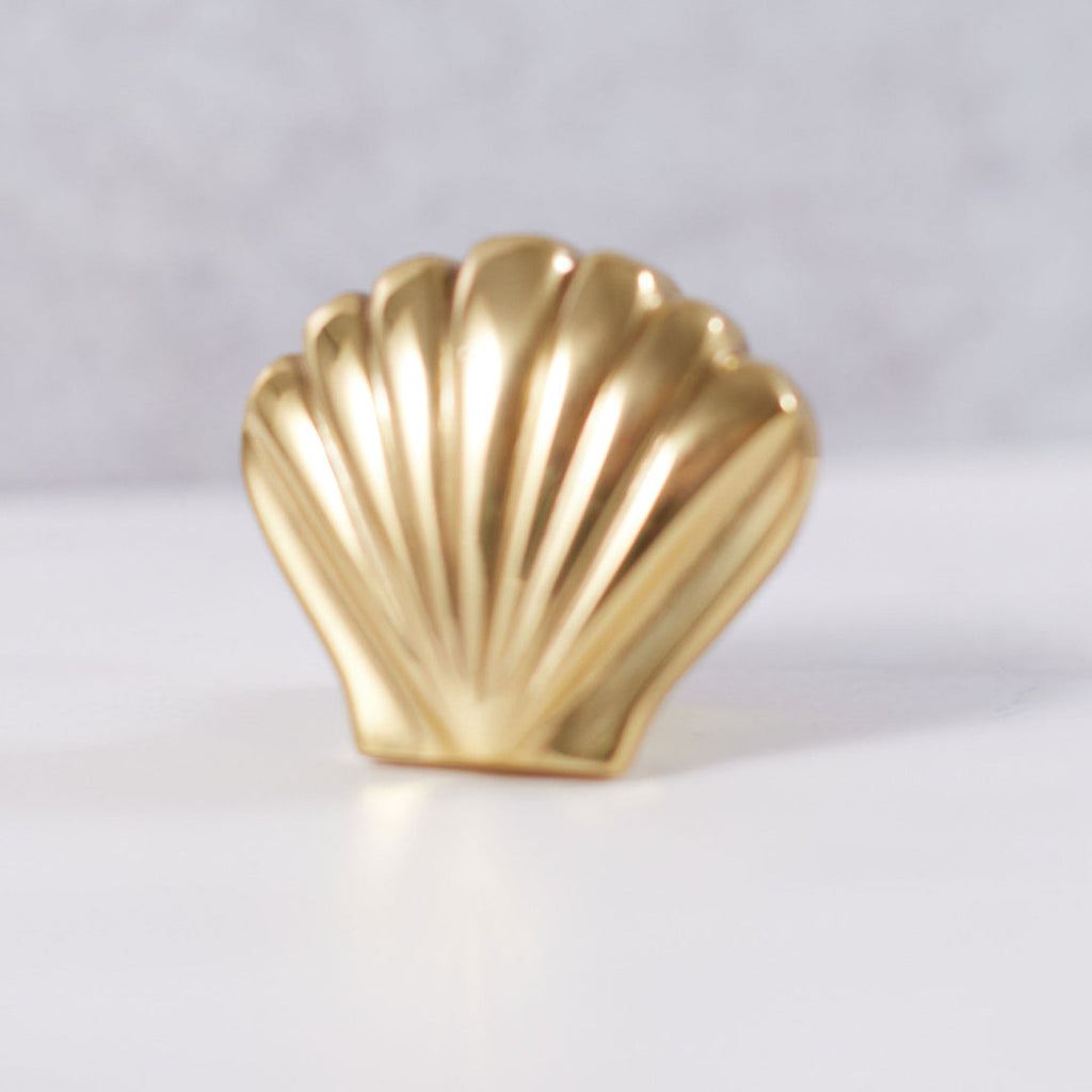 Shell Drawer Knob
