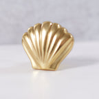 Shell Drawer Knob