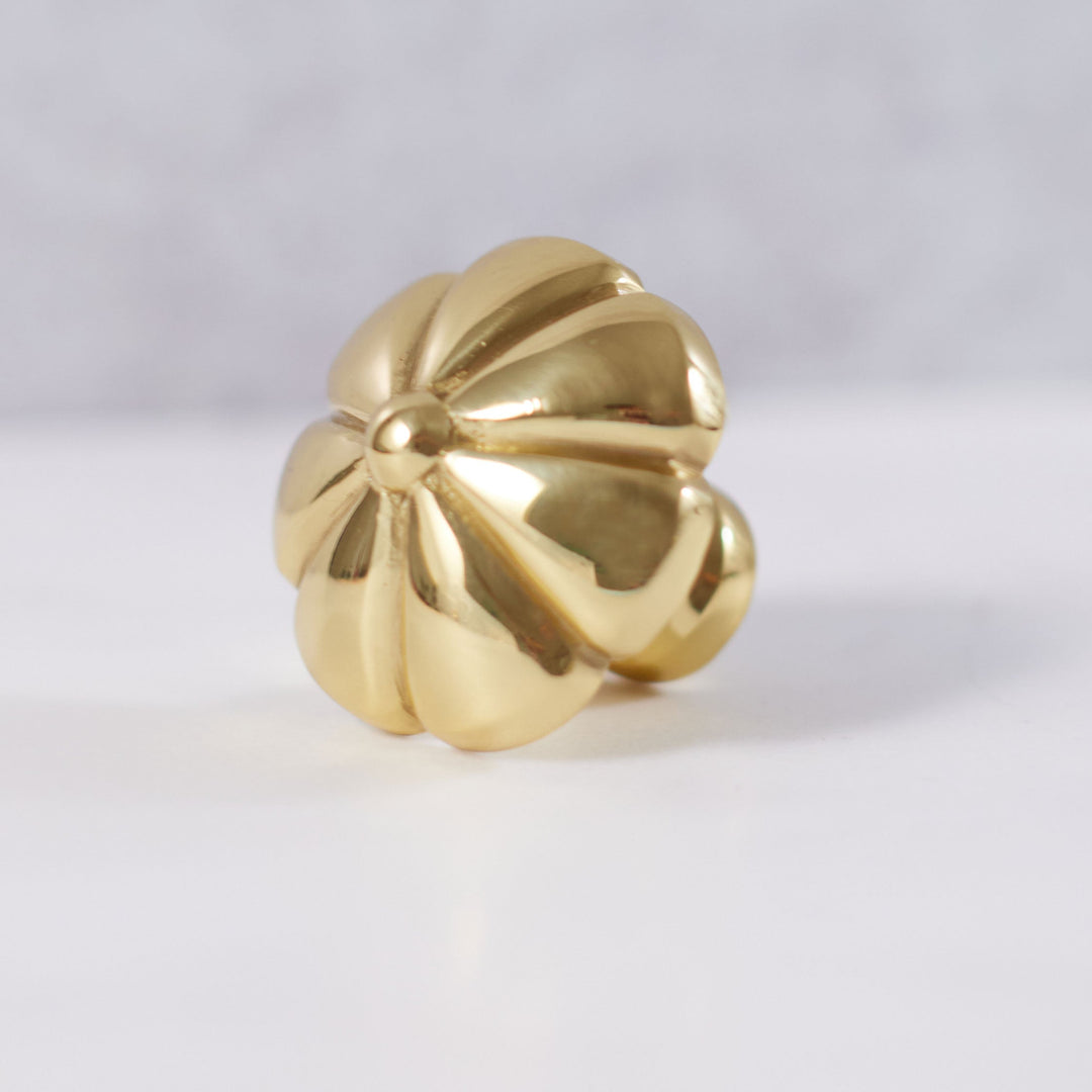Polished brass drawer knob