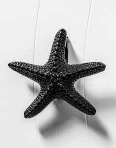 Starfish Front Door Knocker Black