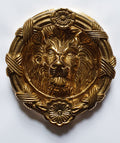 Lion head front door knocker polished brass 